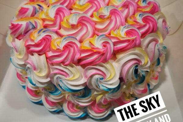 R001 - Colourful Rosie Cake multiple colour